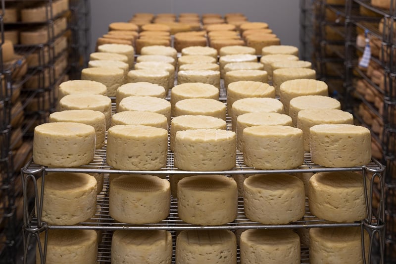 Cheese Tasting
